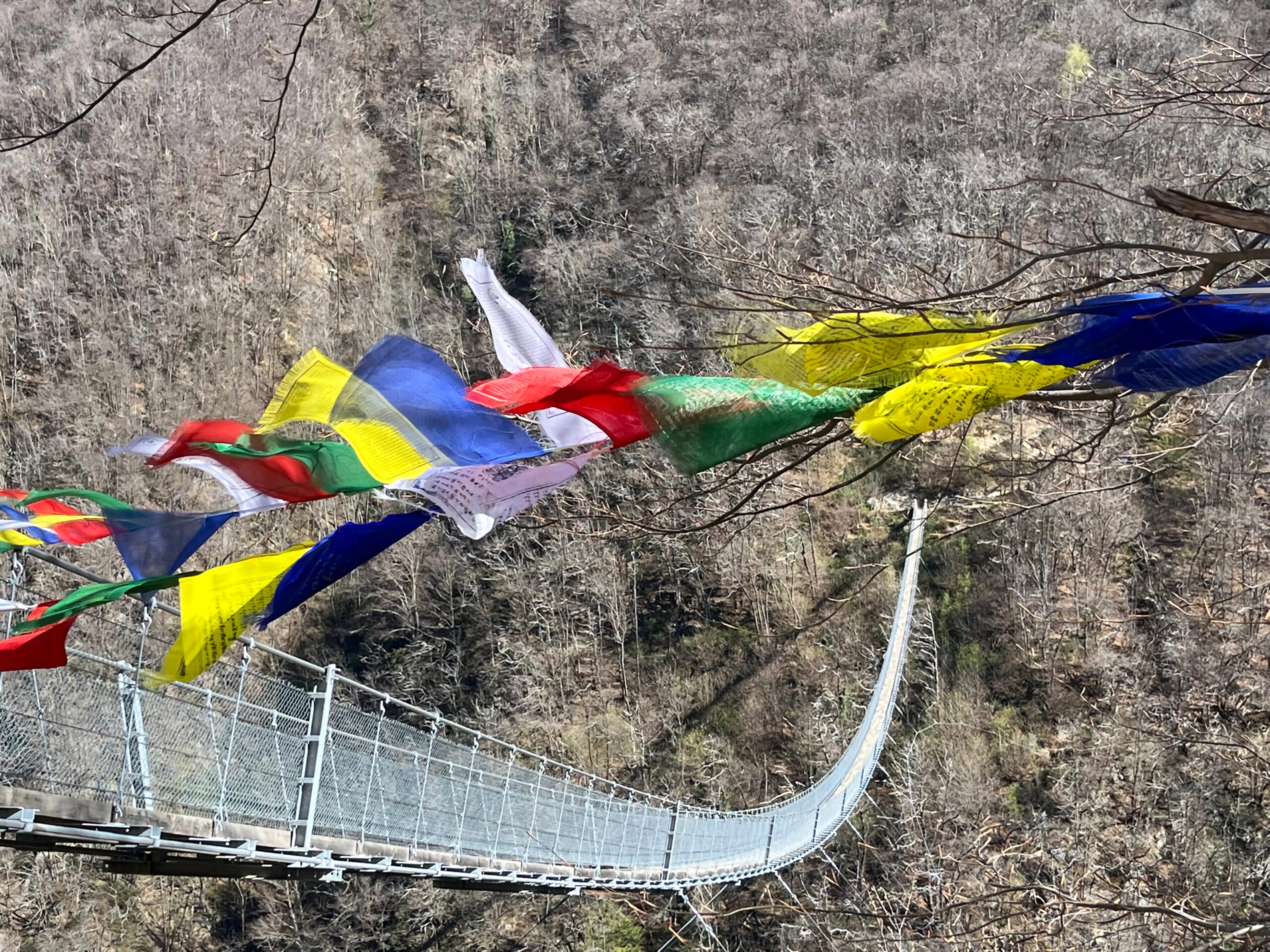 Scopri di più sull'articolo Il ponte tibetano e i suoi dintorni